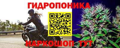 гидропоника Бугуруслан